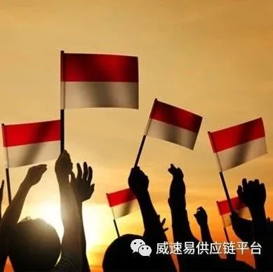 揭秘印尼电商市场特性:仅这一品类的年销售额就在30亿美元以上