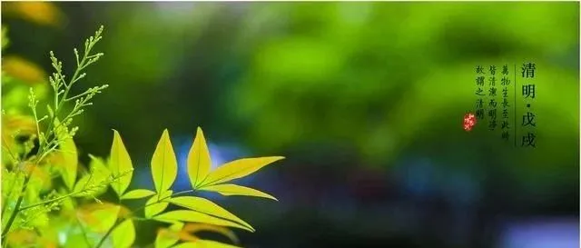 清明节，纪念亚马逊廉价广告最后的光辉岁月！！！