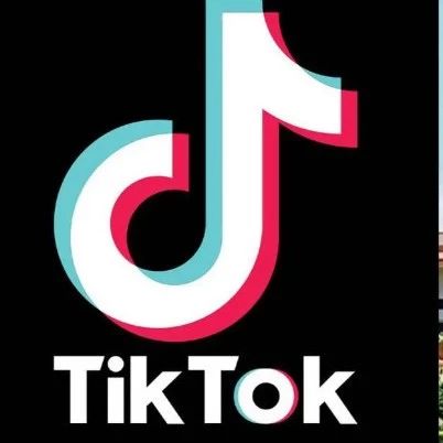 TikTok在印度金奈州面临全面被禁 卡纳塔克邦也计划请求禁令