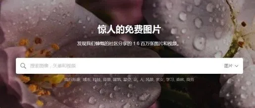 视觉中国关了,没事,这些电商素材网站解救你,赶紧收藏