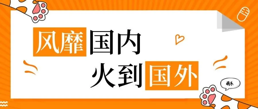 风靡国内,火到国外,这款爆款究竟有什么魔力?
