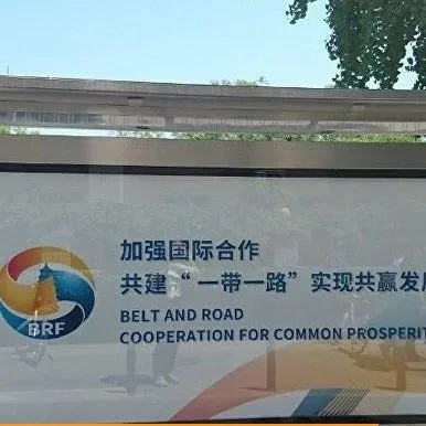 专家:“一带一路”倡议已给俄罗斯与中国接壤地区带来成效