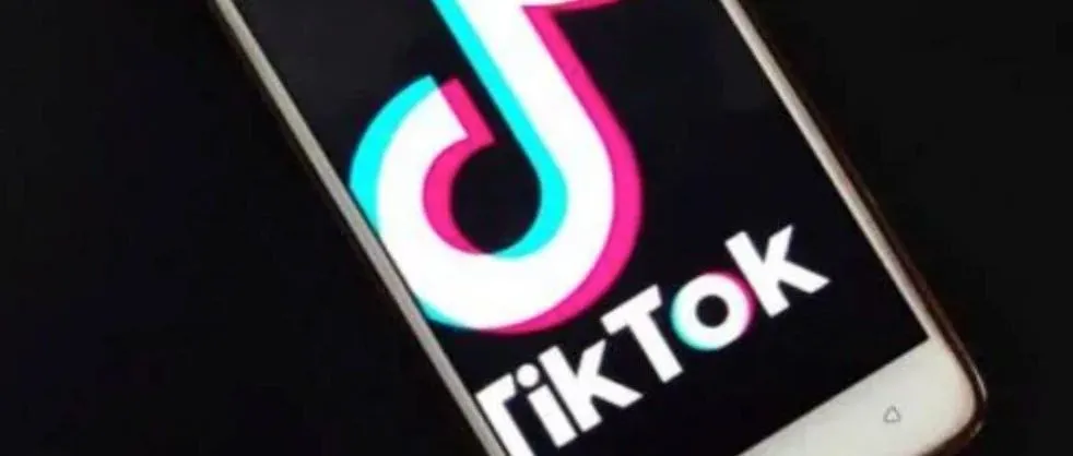 出海创投周报 | Tik Tok开始在印度变现,“非洲阿里”Jumia被指严重欺诈