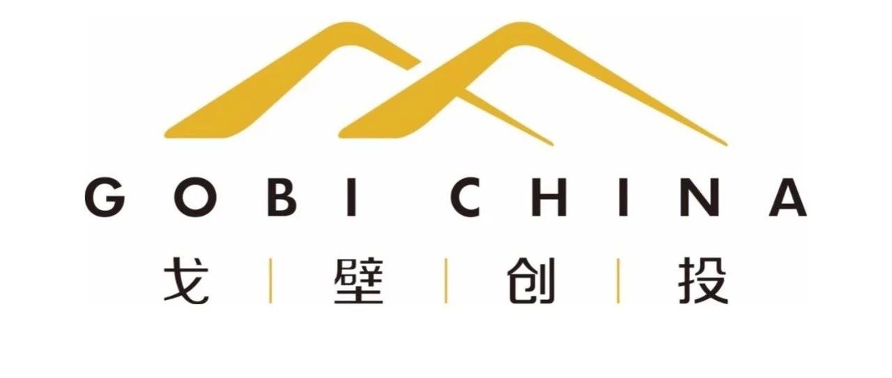 出海探险者戈壁: 撕掉“稳健”标签