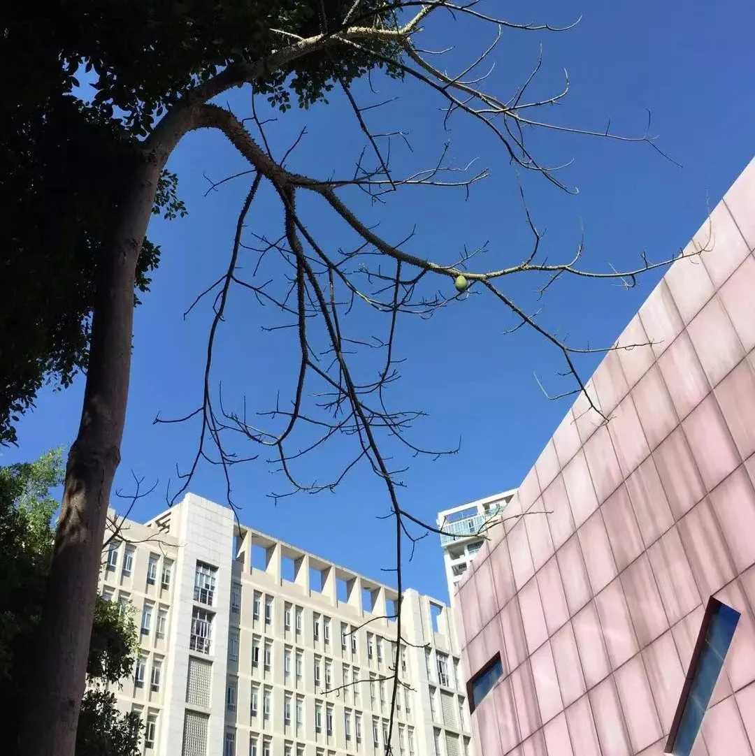 淘汰率高达95%的独立站服务业 它靠啥存活下来?