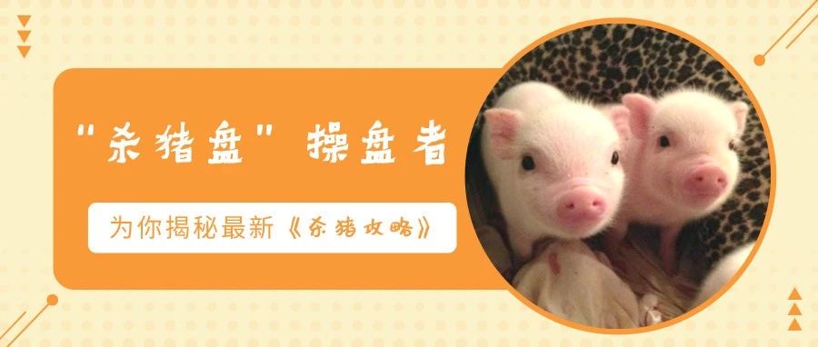 “杀猪盘”操盘者首度发声：为什么那么多乖孩子，会一夜之间沉迷赌博？