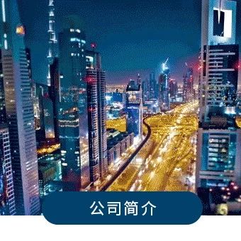 WTC Logistics 公司简介