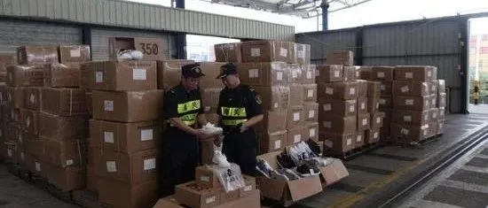 一个集装箱里查获4个“知名品牌”全是假货 !货代物流企业接货需谨慎!!