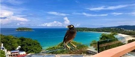 投资一亿欧元 这家跨境服务商押宝卢森堡?