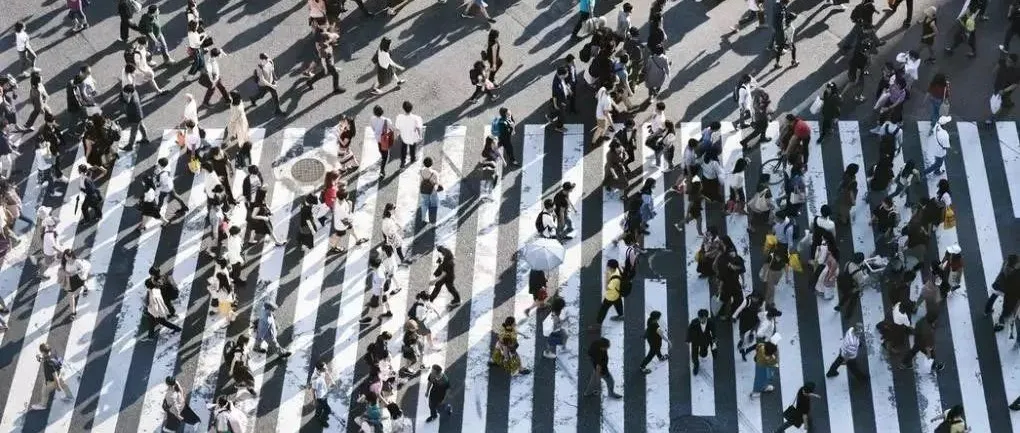 活久见:社交流量日渐平庸,工具流量逐步逆袭