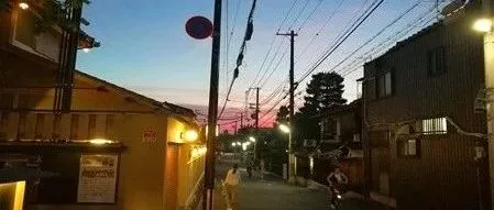 东南亚没有李佳琦?
