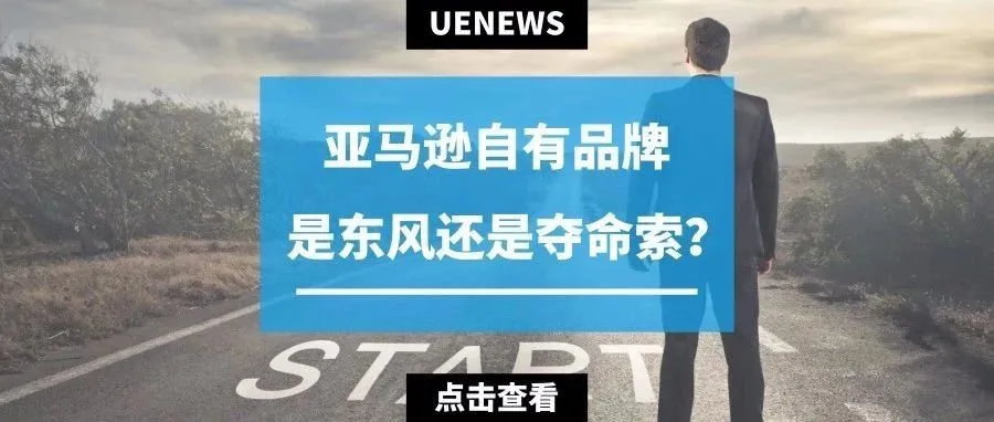 亚马逊向欧洲销售商开放其自有品牌，这个“东风”借还是不借？