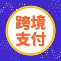 独立站收款—国内通道资金不限量?
