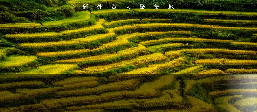 柳宏说运营︱这样拆分、合并变体都算严重违规,亚马逊会秋后算账的