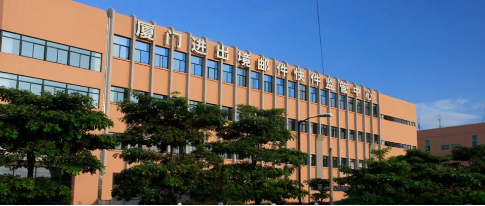 专题采访|需求多层次化，国际小包如何贯穿全球？
