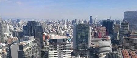 Wish做了一个B2B项目