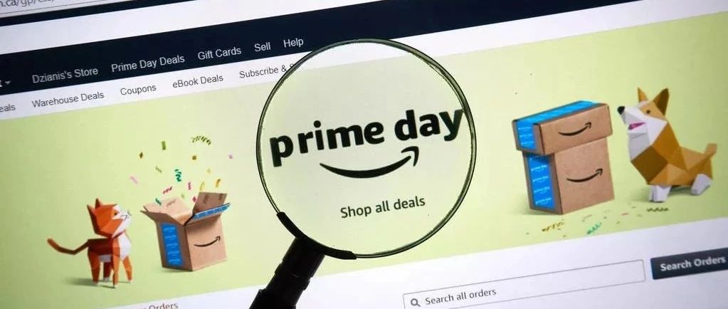 来啦！来啦！他们真的来啦！