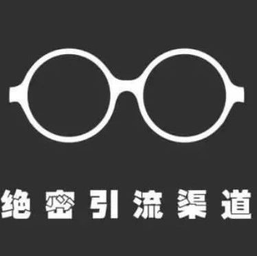 听说跨境电商独立站使用这个渠道后 ROI提高到600%？