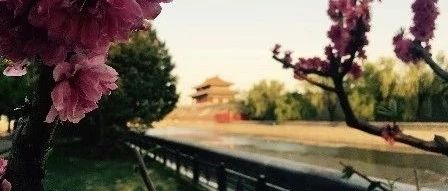 Lazada年中大促:跨境整体单量同比增长13倍