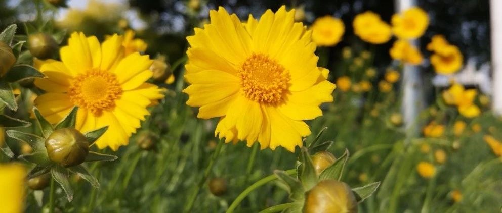 这周，这家支付暂停Wish收款，而他们却融资了