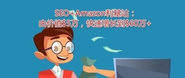 SEO案例: Amazon联盟网站,月收入从$2000到$25000