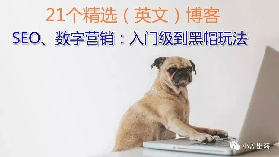 21个精选SEO、数字营销(英文)博客:从入门级到黑帽玩法