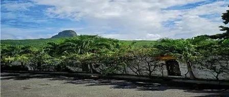 沙特正式公布电商法:电商需给买家提供发票