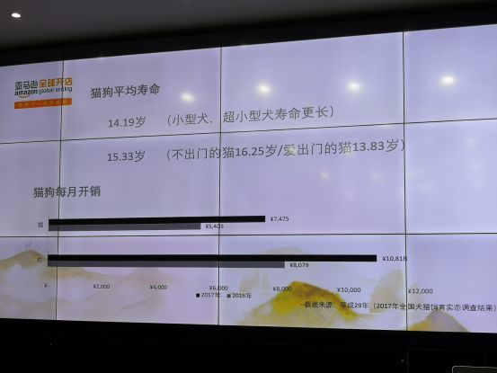 选品 盘点亚马逊日本站热销的8款宠物用品 跨境头条 Amz123亚马逊导航 跨境电商出海门户 选品 盘点亚马逊日本站热销的8款宠物用品 跨境头条 Amz123亚马逊导航 跨境电商出海门户