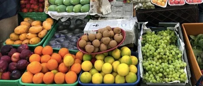 一个中国投资人眼中的印度生鲜杂货电商