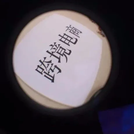 倪岳峰:大力促进跨境电商发展