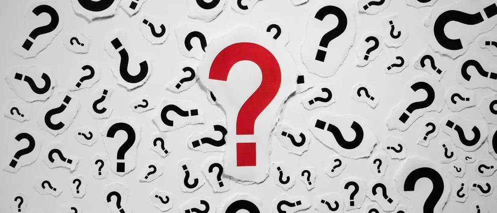 灵魂发问：明年品类增长靠什么？