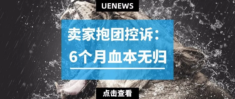 卖家血泪控诉:无良亚马逊讲师让我赔光了所有积蓄!