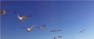 接入俄罗斯版Facebook 速卖通再添社交流量入口