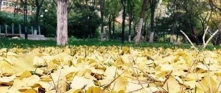 这周,有跨境电商融资1亿美元,速卖通和TikTok出新功能