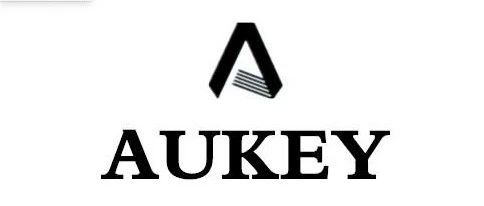 Aukey 傲基品牌营销和独立站分析分享