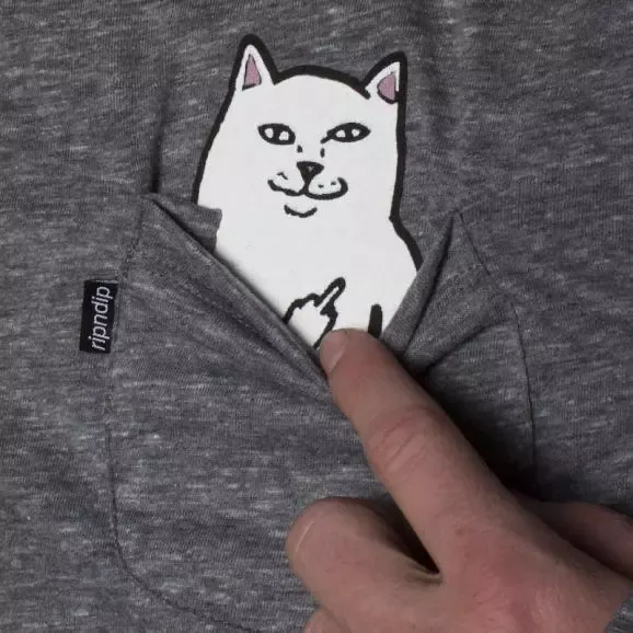 猫猫好撸?一篇关于网红猫必须要看的侵权分析