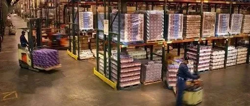 严查!印度加强进口产品关税审查,货物遭拦截货主发货延迟