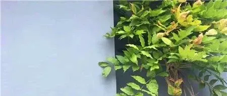 这周,两个国家宣布对电商要收税了