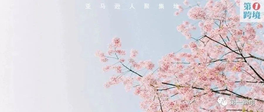柳宏说运营︱亚马逊账号还没解封？国外卖家建议试试这招