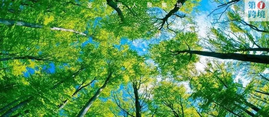 柳宏说运营︱无理由被封账号凌晨大批量自动解封，风波已过，引起的思考却是沉重的