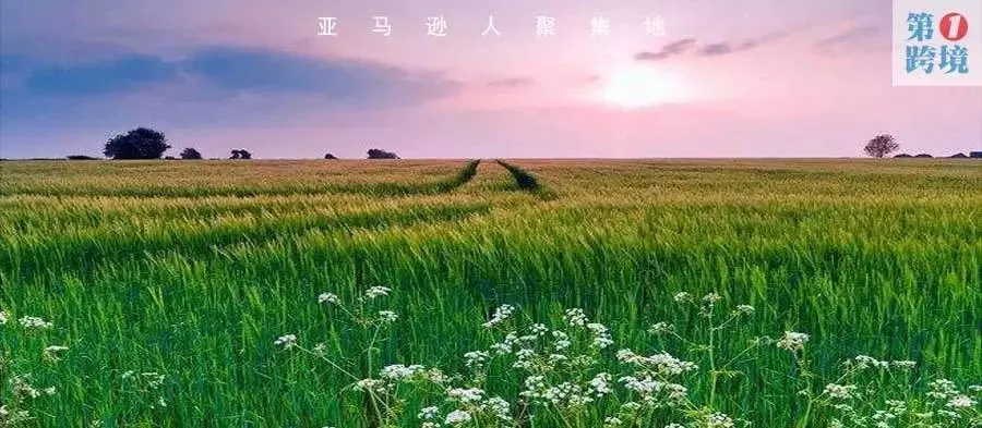 柳宏说运营︱高点击率的亚马逊PPC广告标题需具备的几个因素