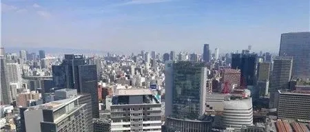 独立站下一个风口 不抓住可能挂掉?