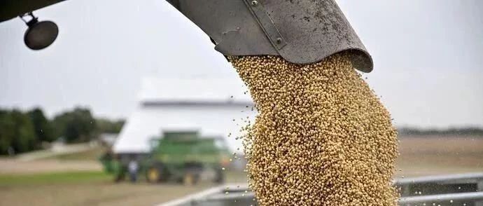 最新！美考虑与中国达成临时协议；中国重新采购美国大豆、猪肉！