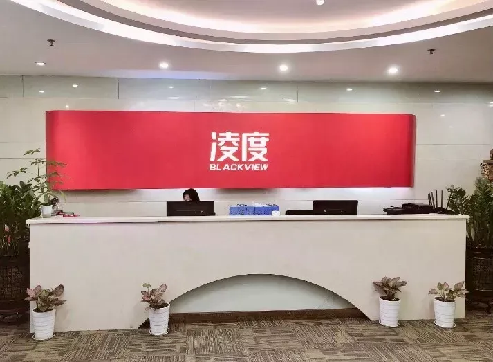 10个月销量破百万美金，这家公司的品牌国际化之路何以成功？