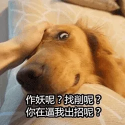 点击查看源网页