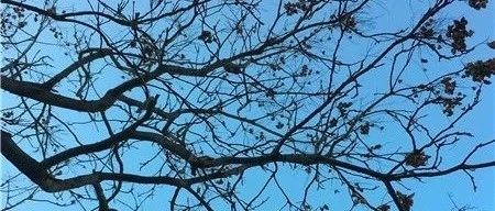 这周,速卖通启动双11招商 执御公布开放平台计划