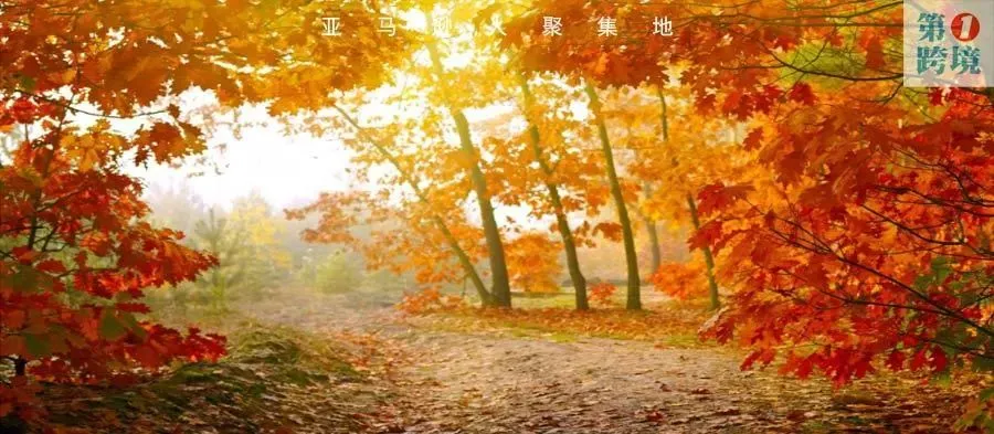 柳宏说运营︱亚马逊平台不被老外看好的产品以及英国站圣诞销售指南一份（值得收藏）