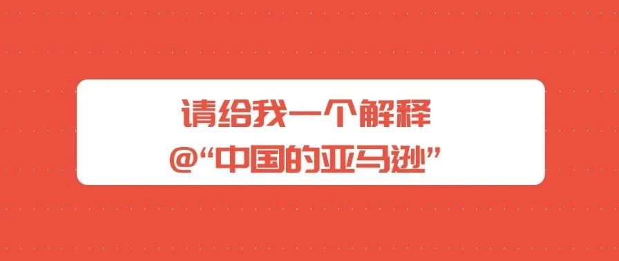 为何它这么有实力，被称作“中国的亚马逊”！