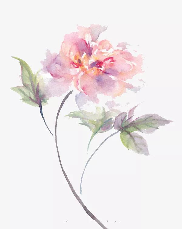 Etsy开店运营攻略 个人就可以直接做的平台 跨境头条 Amz123亚马逊导航 跨境电商出海门户