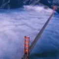 凯.png